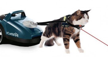 chat aspirateur